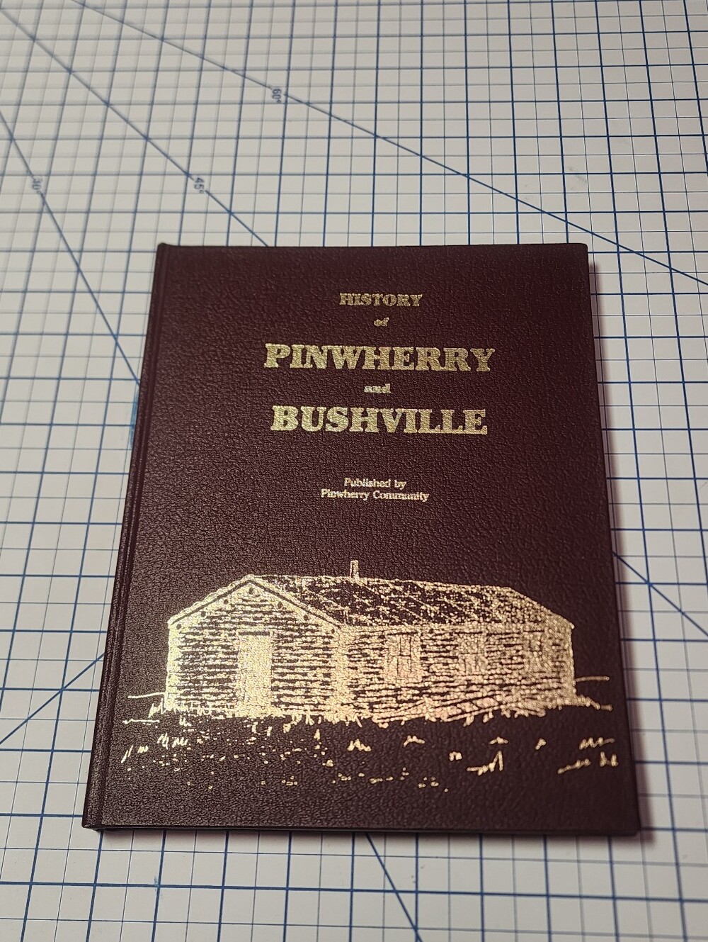 History of Pinwherry and Bushville Hardcover Book - Biggar Saskatchewan